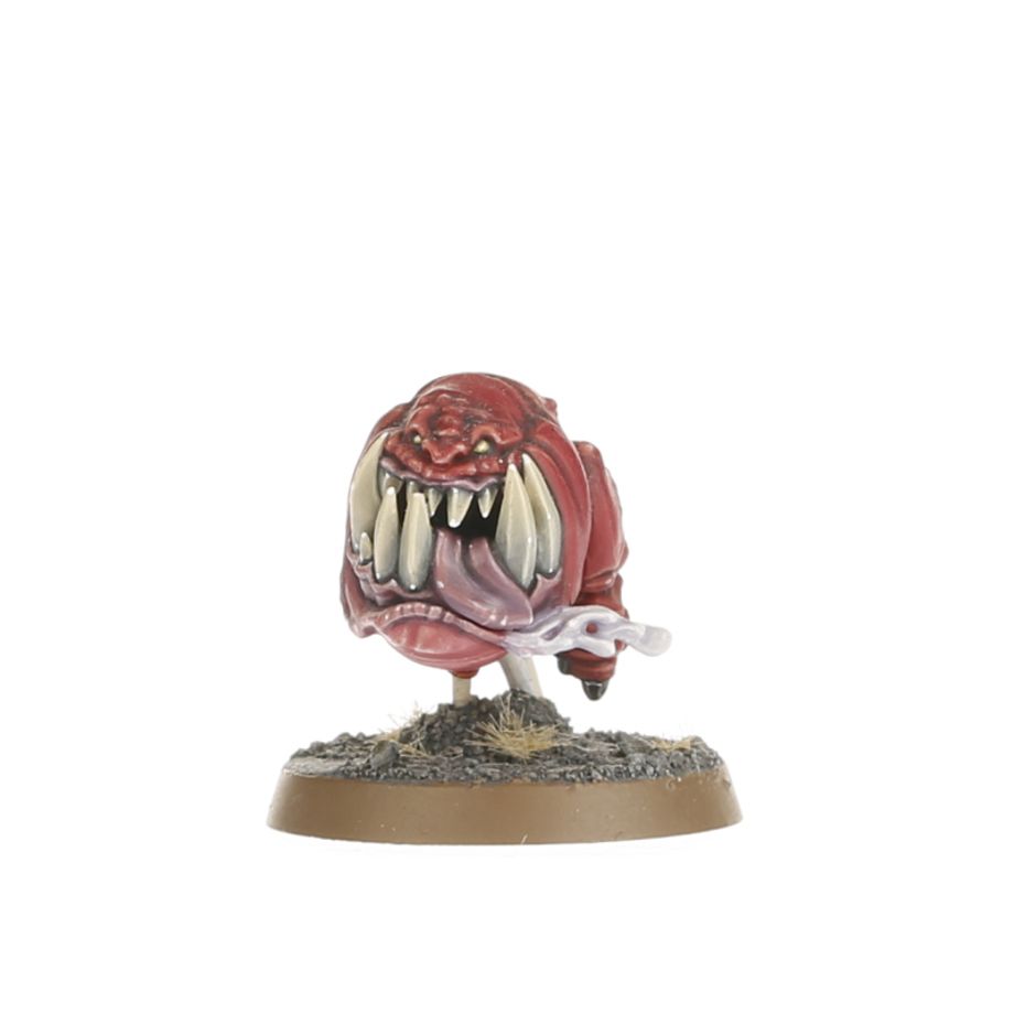 Warhammer Age Of Sigma Gloomspite Gitz Squig Heard